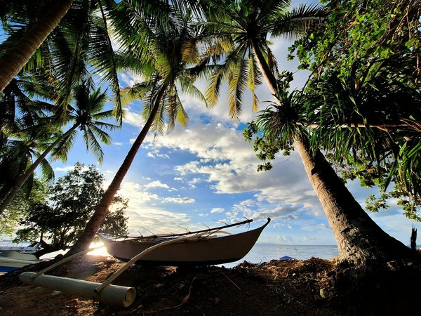 Découvrez notre évaluation du Camping de Castillon à proximité des spectaculaires Gorges du Verdon