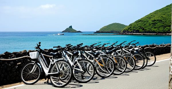 Les meilleures options de location de vélo à l'île d'yeu